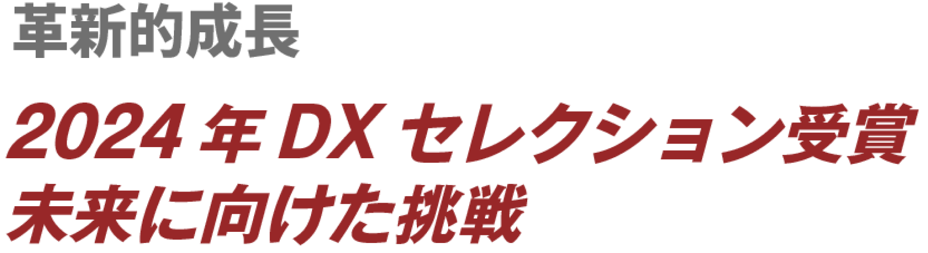 革新的成長 2024年DXセレクション受賞 未来に向けた挑戦